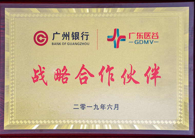 Strategic Partner of Bank of Guangzhou